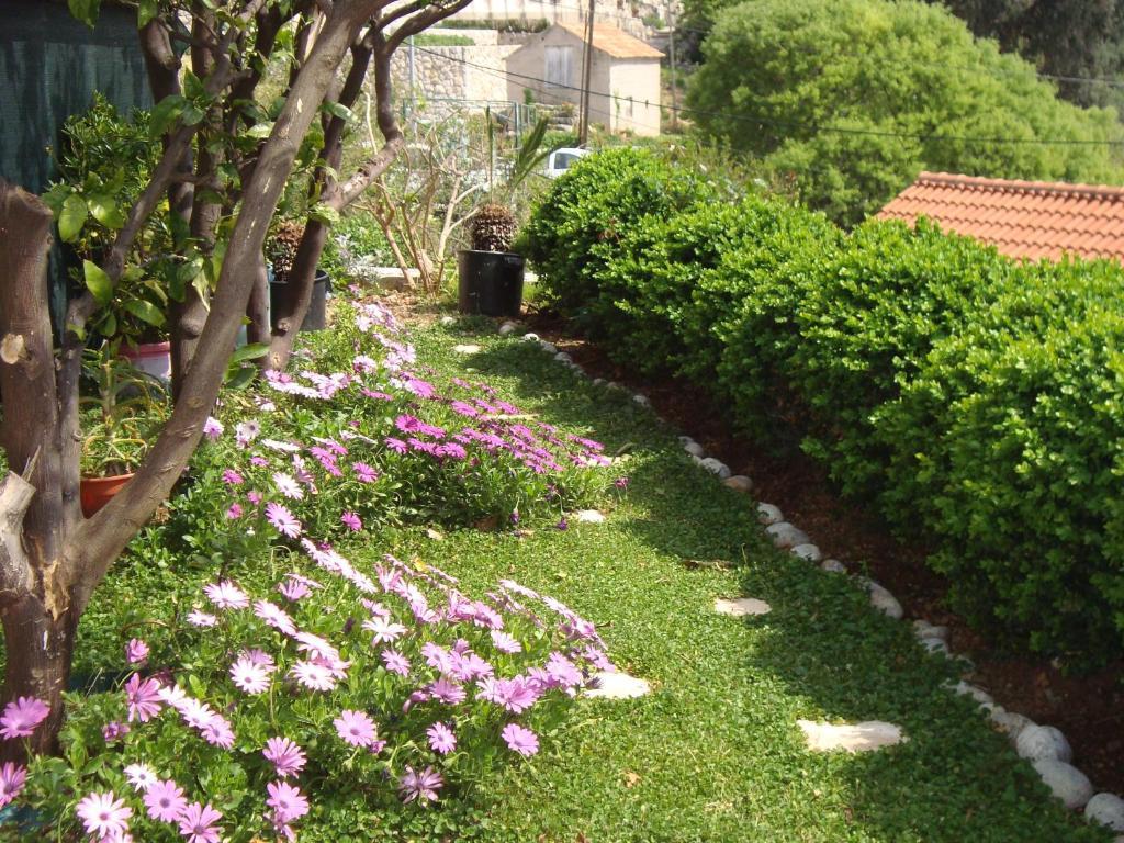 Apartment Lonza *